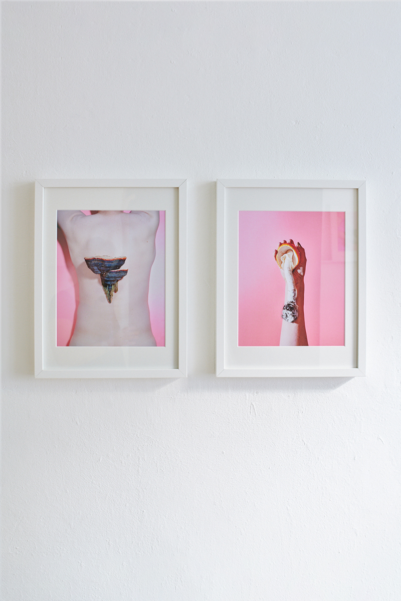 Heidi Mayer Fotografie, München, Art, künstlerische Fotografie, Ausstellung, zwischen-wesen, Pilze
