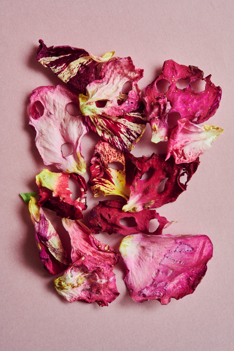 Heidi Mayer Fotografie, München, Art, künstlerische Fotografie, Ausstellung,