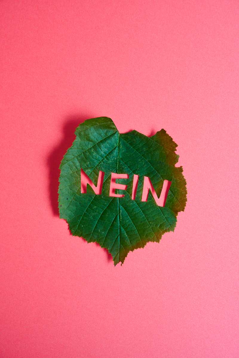 Heidi Mayer Fotografie, München, Art, künstlerische Fotografie, Ausstellung,