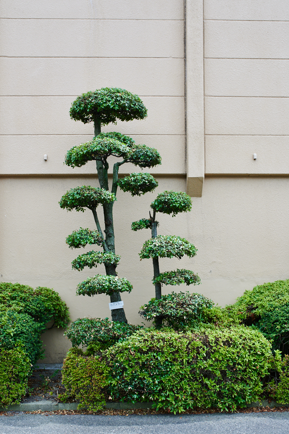 Heidi Mayer Fotografie, München, Ausstellung, Japan